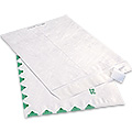 Tyvek Envelopes