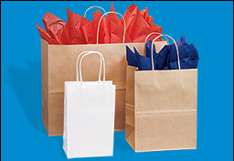 PAPER RETAIL BAGS