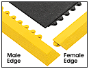 Female & Male Edges