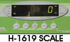 Scale
