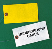 Custom Printed Tyvek Tags